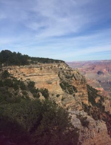 The Beautiful Grand Canyon! 