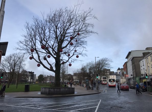 galway tree